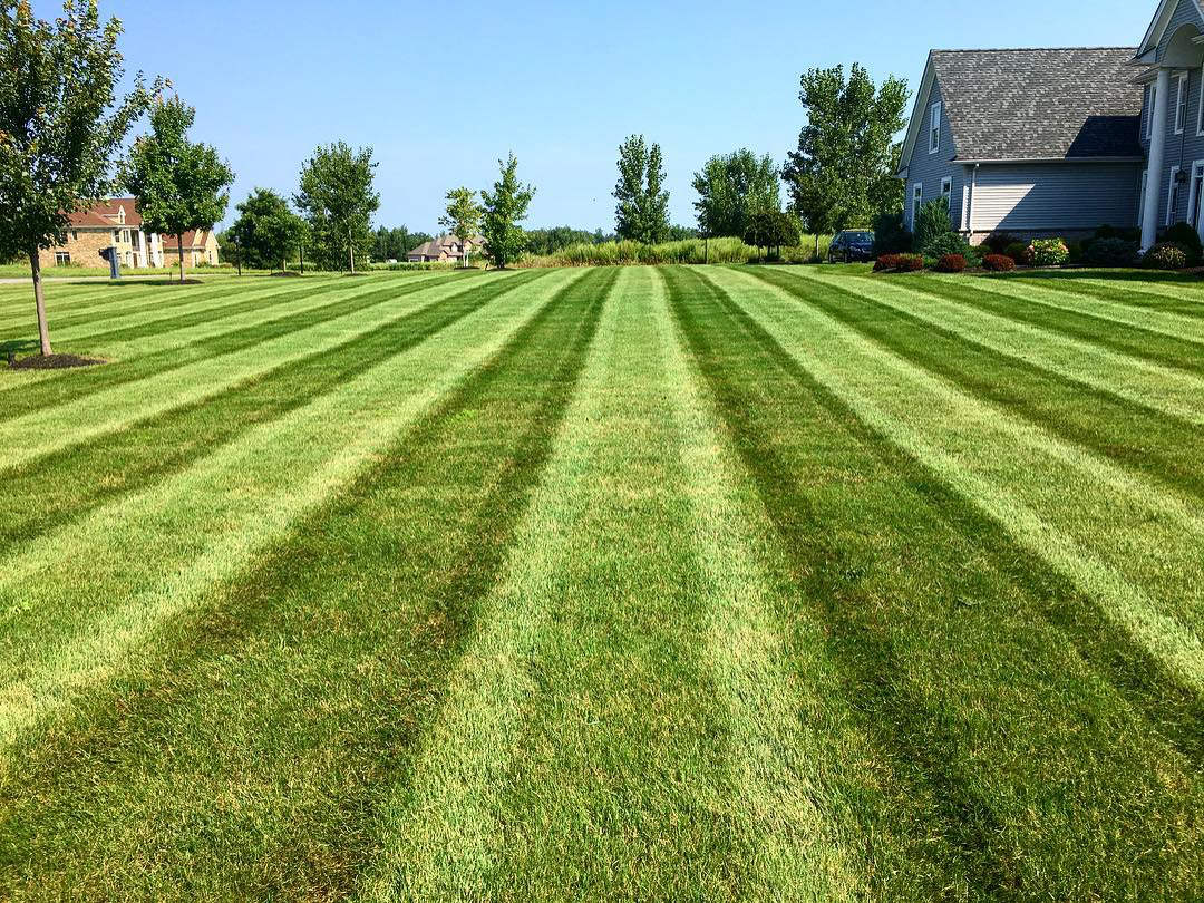 lawn-stripes